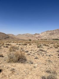 Scenic view of desert against clear blue sky