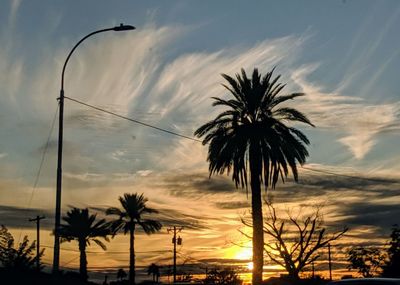 Silhouette palm trees against sky during sunset