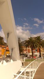 Palm trees and buildings against sky