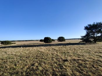 Scenic view of land against clear blue sky