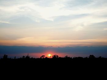 Silhouette trees against sky during sunset