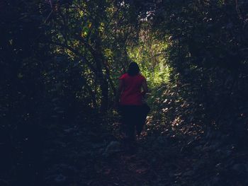 Rear view of man walking in forest