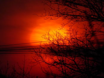 Silhouette bare tree against orange sky