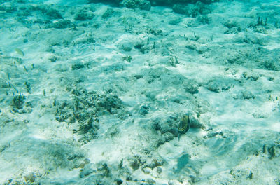 Full frame shot of sea