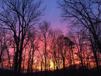 Silhouette bare trees in forest against sky at sunset