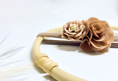 High angle view of rose on table against white background