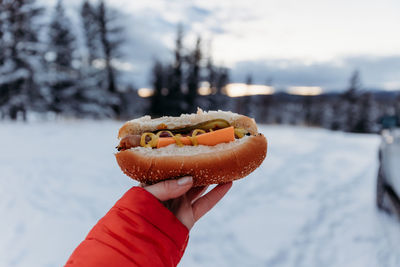 Winter outdoor food , hotdog 