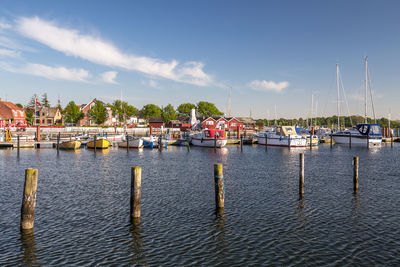 Sailboats moored in harbor against sky