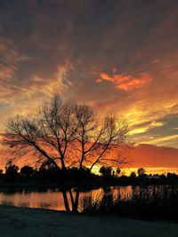 Silhouette bare trees by river against sky during sunset