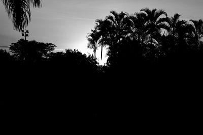 Low angle view of silhouette trees against clear sky