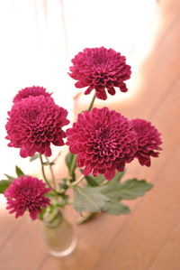 Close-up of flowers