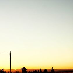 Silhouette trees against clear sky during sunset
