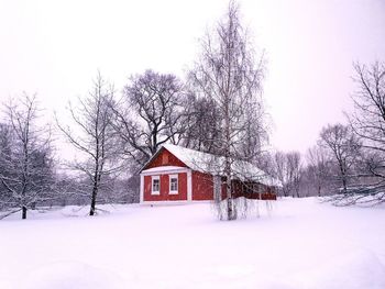 Bare trees on snow covered field by houses against sky