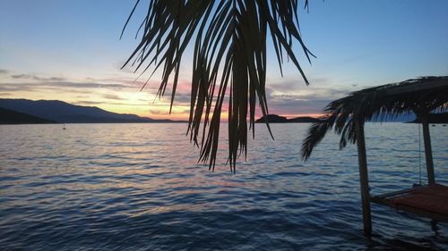 Silhouette palm tree on beach against sky during sunset