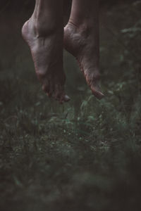 Low section of person wearing shoes on land