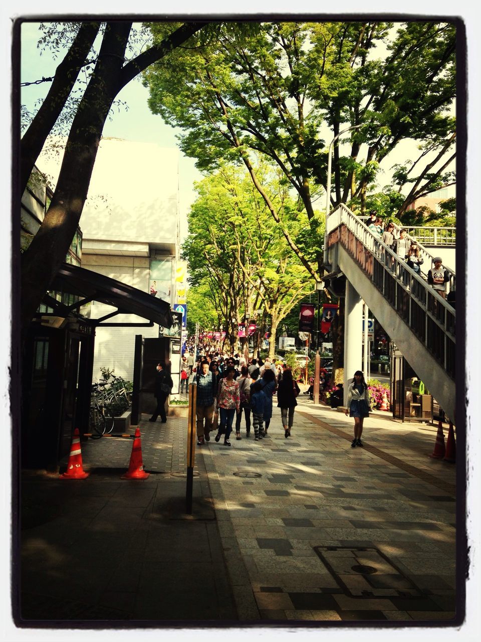 tree, architecture, building exterior, built structure, transfer print, walking, men, person, street, auto post production filter, city, lifestyles, day, city life, large group of people, leisure activity, the way forward, outdoors, footpath