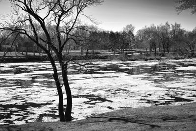 Bare trees by frozen lake against sky