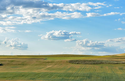 Scenic view of agricultural field against sky