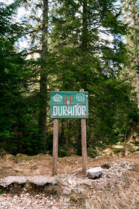 Information sign in forest