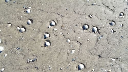 Pebbles on beach