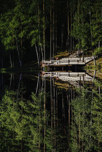 Scenic view of lake against trees