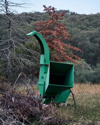 Umbrella on field against trees in forest
