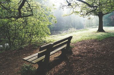 Empty bench in park