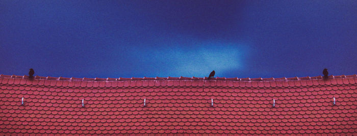 Low angle view of bird perching on building against blue sky