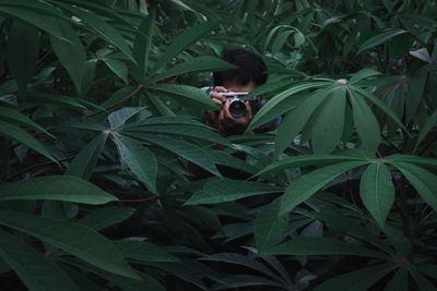 Man photographing amidst plants in forest