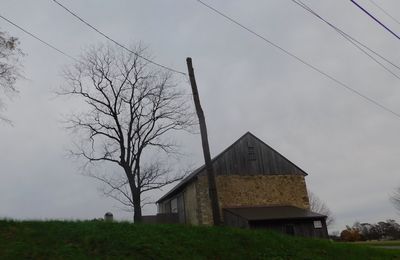 Bare tree on field by house against sky