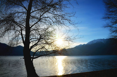 Silhouette bare tree by lake against sky during sunset