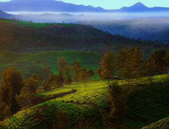 Scenic view of field against mountains