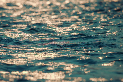 Full frame shot of plants