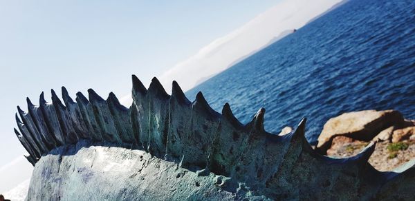 Close-up of sea against sky