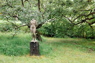 Statue against trees