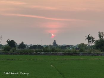 Scenic view of field against sky during sunset