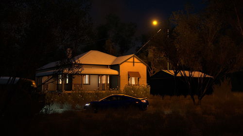 Cars on illuminated street amidst houses and trees at night