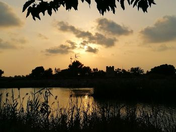 Reflection of trees in calm lake at sunset