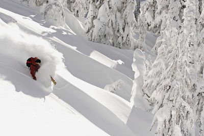 Skiing fresh snow 