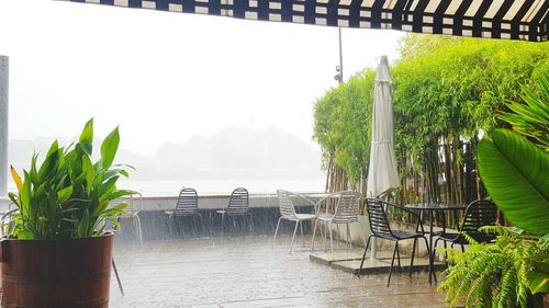 Potted plants on table by calm lake