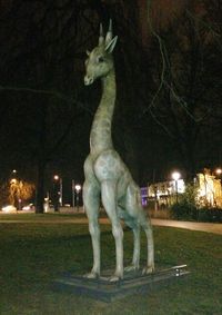 Fountain at night