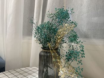 Close-up of potted plant against window at home