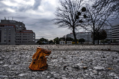 Park by city against sky