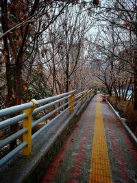 Footbridge over bare trees during autumn