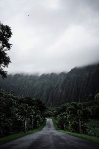 Empty road along trees and plants against sky