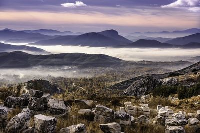 Scenic view of landscape against sky at night