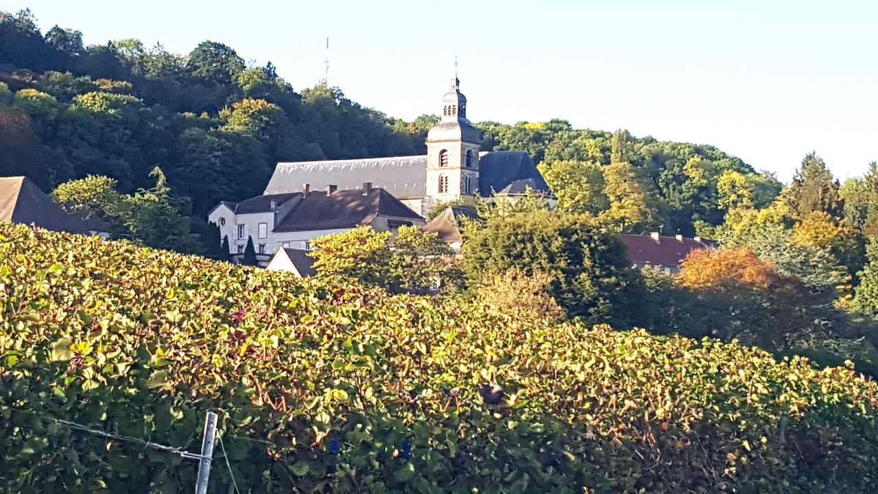 Kirche im weinberg