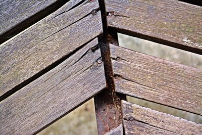 Close-up of wooden door