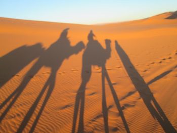 Shadow of camel riders at desert