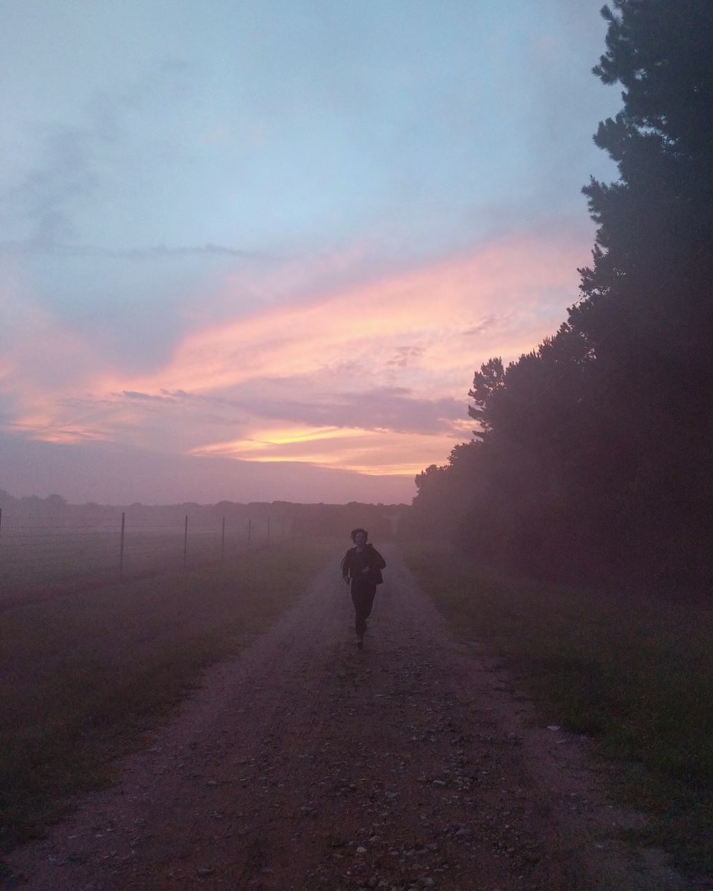 sky, sunset, one person, real people, direction, cloud - sky, plant, the way forward, beauty in nature, lifestyles, nature, scenics - nature, tranquility, rear view, leisure activity, walking, tranquil scene, full length, tree, orange color, outdoors, diminishing perspective